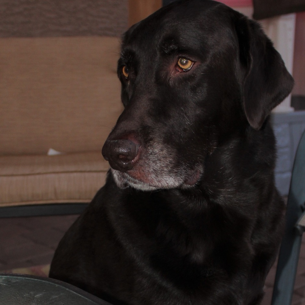 Meet your Posher, Elena